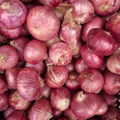 Fresh Indian Onions